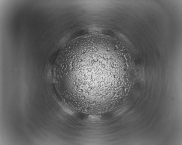 X0000076070573200609221159