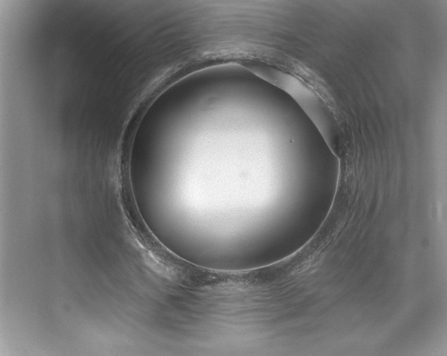 X0000076070578200609221159