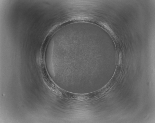 X0000076070579200609221159