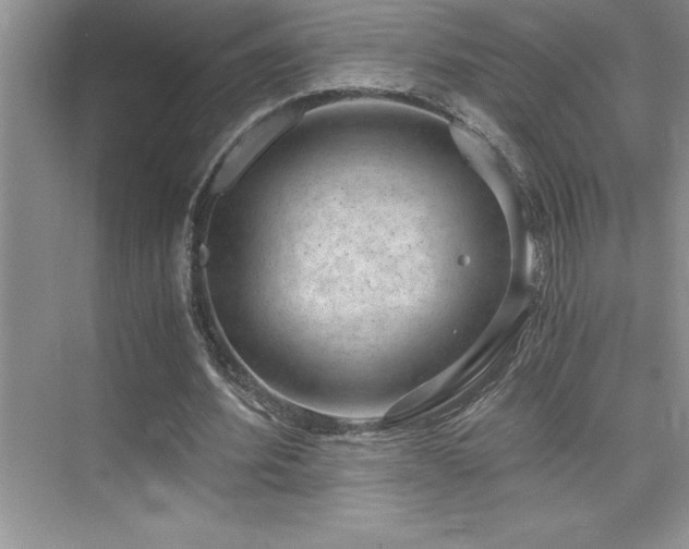 X0000076070580200609221159