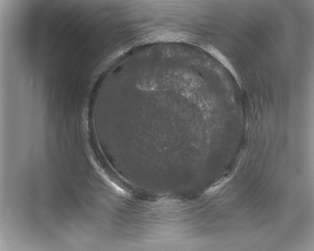 X0000076070581200609221159