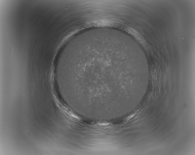 X0000076070583200609221159