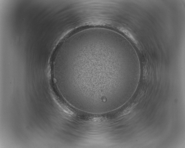 X0000076070584200609221158