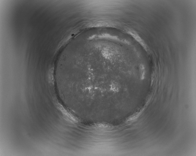 X0000076070585200609221158