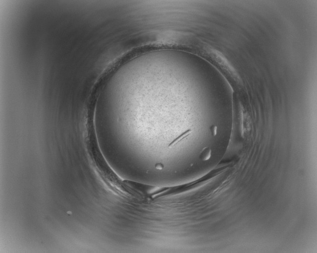 X0000076070588200609221158