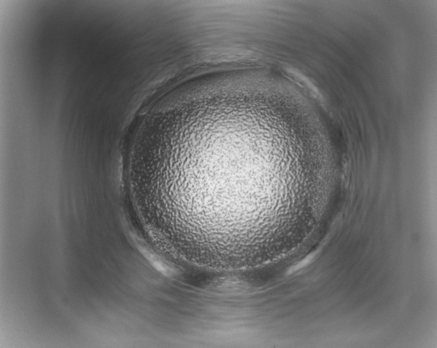 X0000076070589200609221158