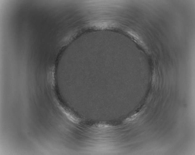 X0000076070590200609221158