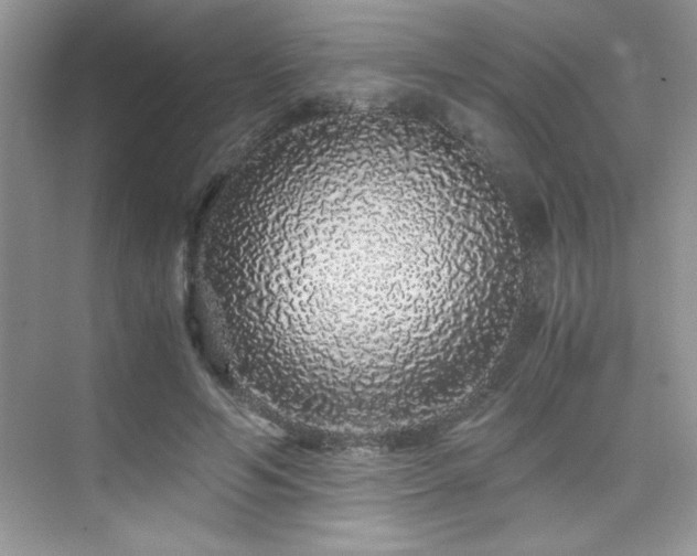 X0000076070594200609221158