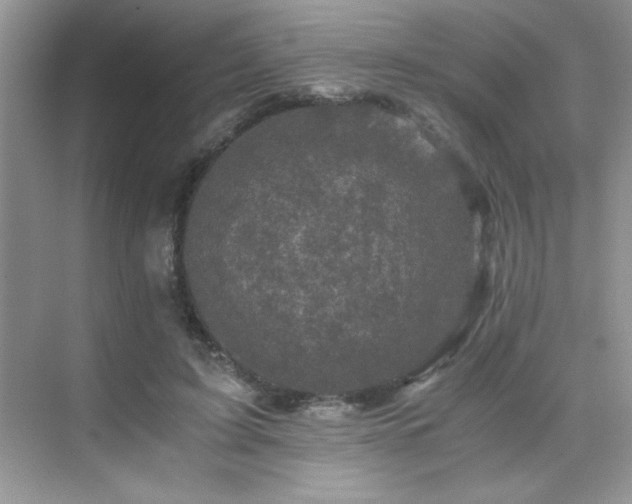 X0000076070595200609221158