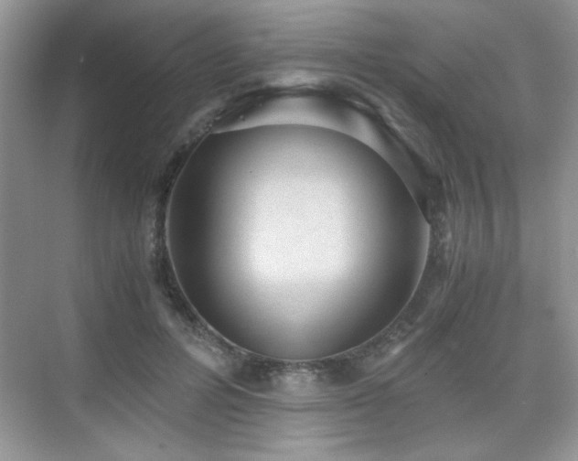 X0000076070600200609221158