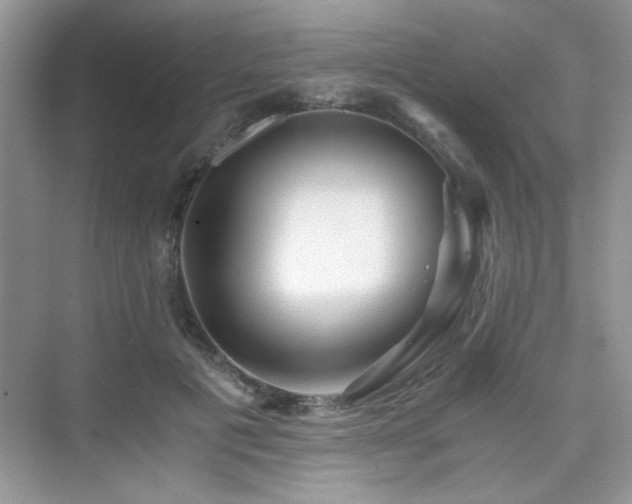 X0000076070601200609221158