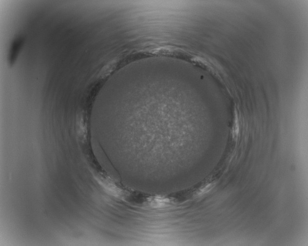 X0000076070607200609221158