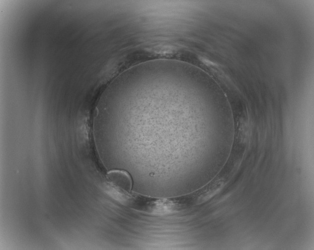 X0000076070612200609221158