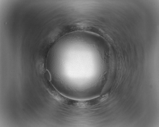 X0000076070615200609221158