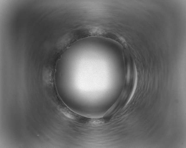 X0000076070619200609221158