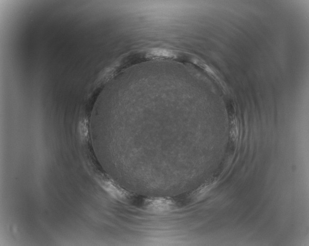 X0000076070621200609221158