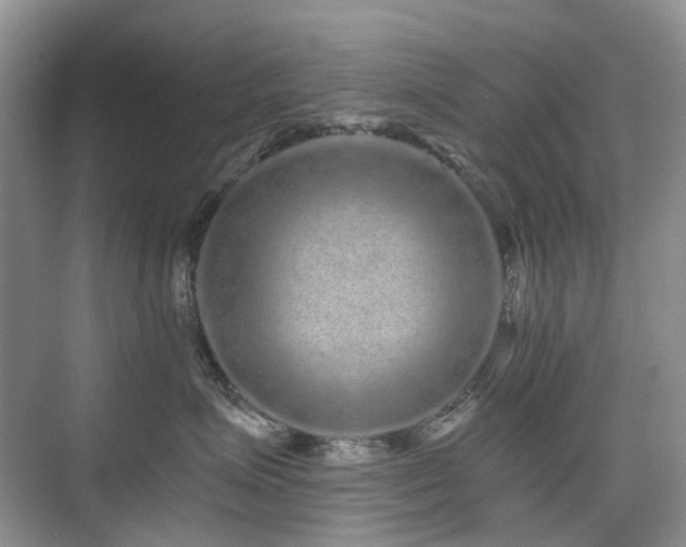 X0000076070623200609221158