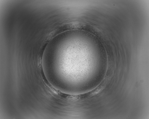 X0000076070624200609221158