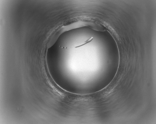 X0000076070625200609221157