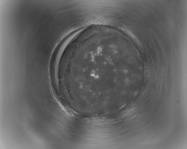 X0000076070626200609221157