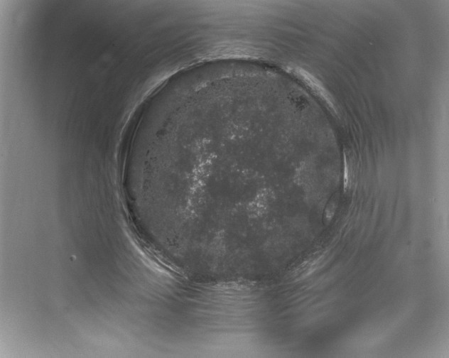 X0000076070627200609221157