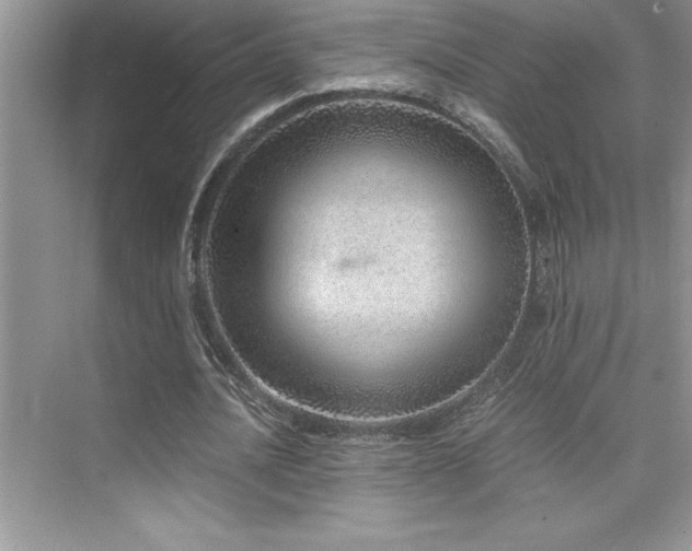 X0000076070628200609221157