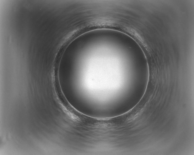 X0000076070629200609221157