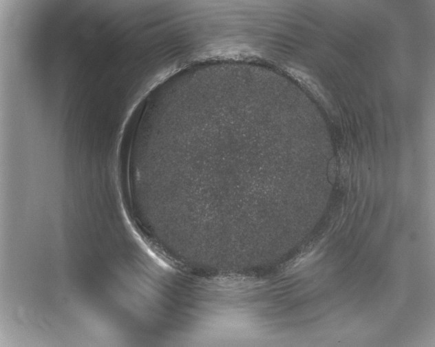 X0000076070630200609221157