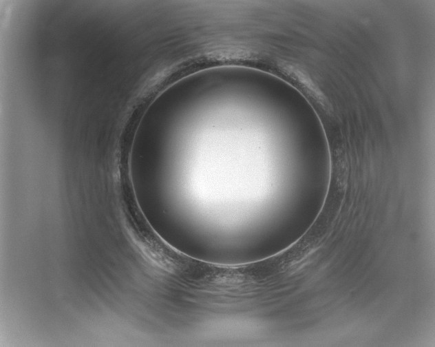 X0000076070631200609221157