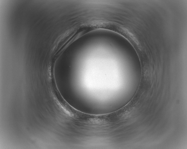 X0000076070633200609221157