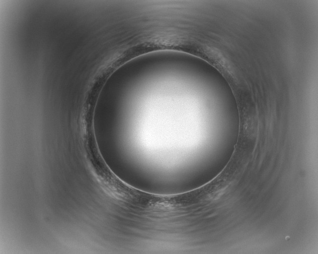 X0000076070635200609221157