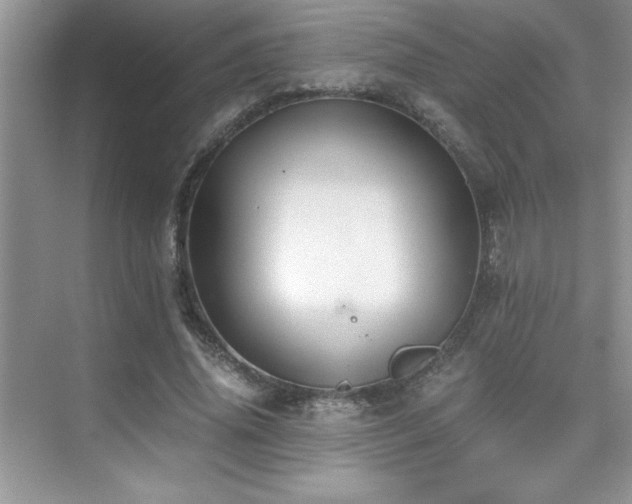 X0000076070636200609221157