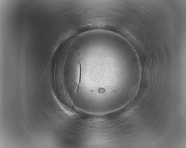 X0000076070638200609221157