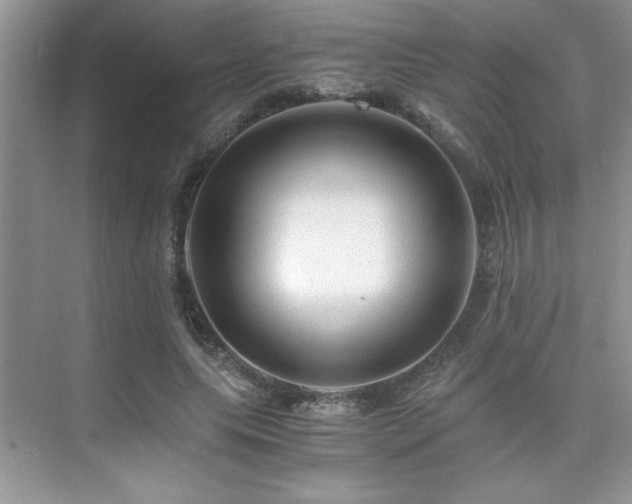 X0000076070639200609221157