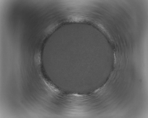 X0000076070640200609221157