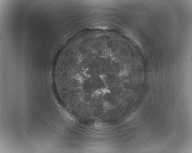 X0000076070641200609221157