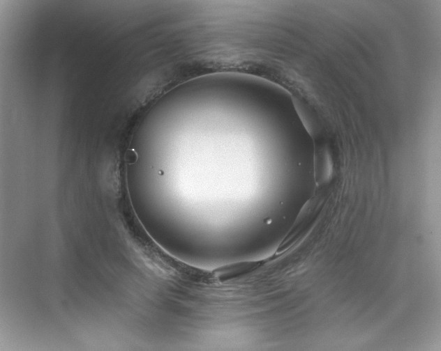 X0000076070642200609221157