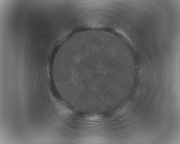 X0000076070643200609221157