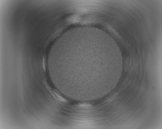 X0000076070644200609221157