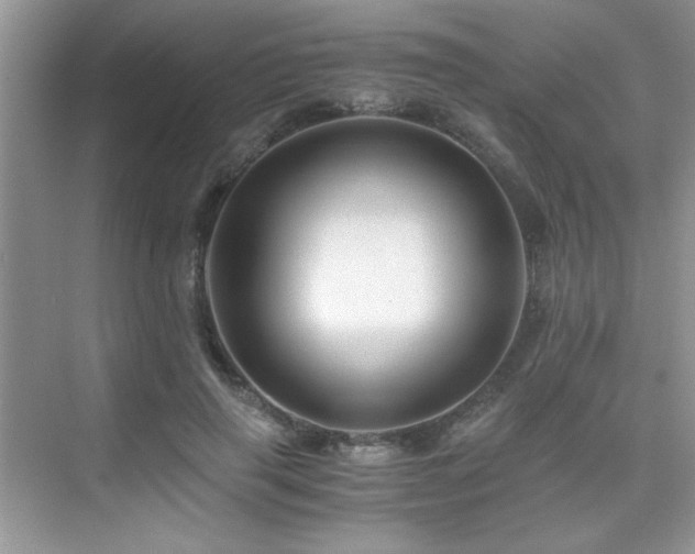 X0000076070645200609221157