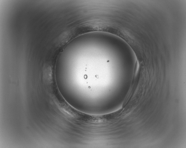 X0000076070646200609221157