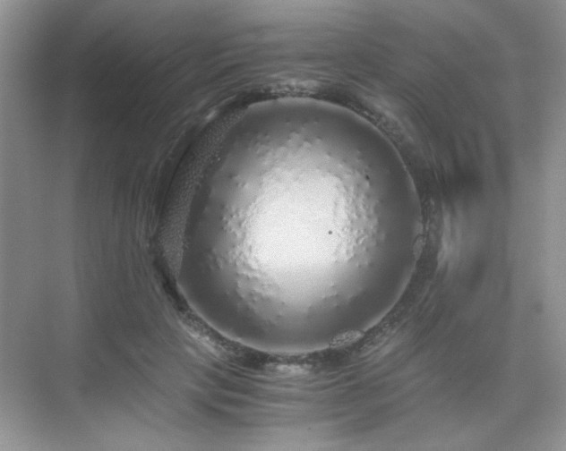 X0000076070649200609221157