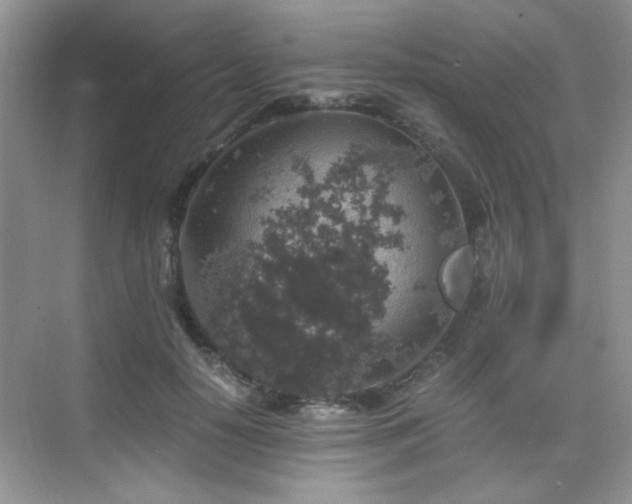 X0000076070650200609221157