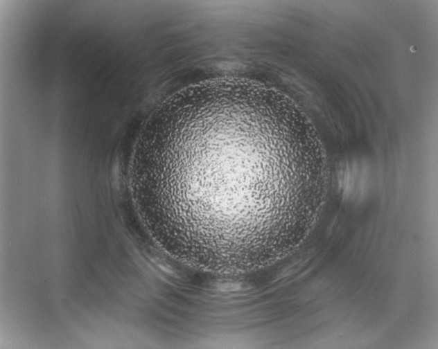 X0000076070651200609221157