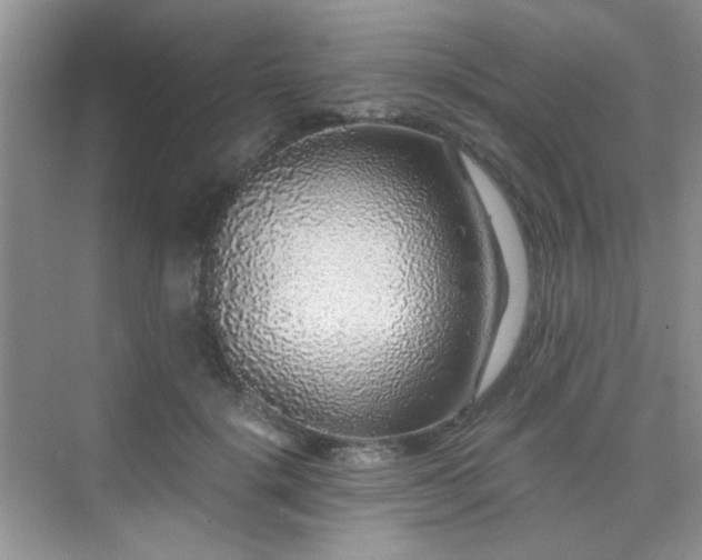 X0000076070652200609221157