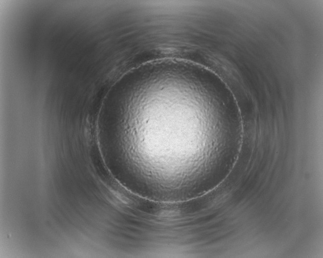 X0000076070653200609221157