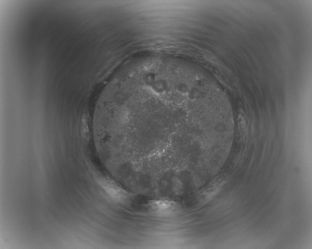 X0000076070654200609221157