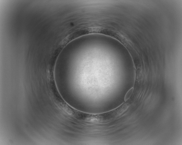 X0000076070655200609221158