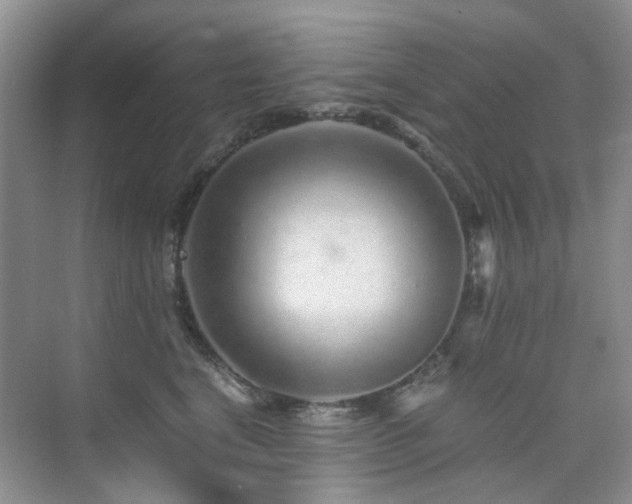 X0000076070664200609221158