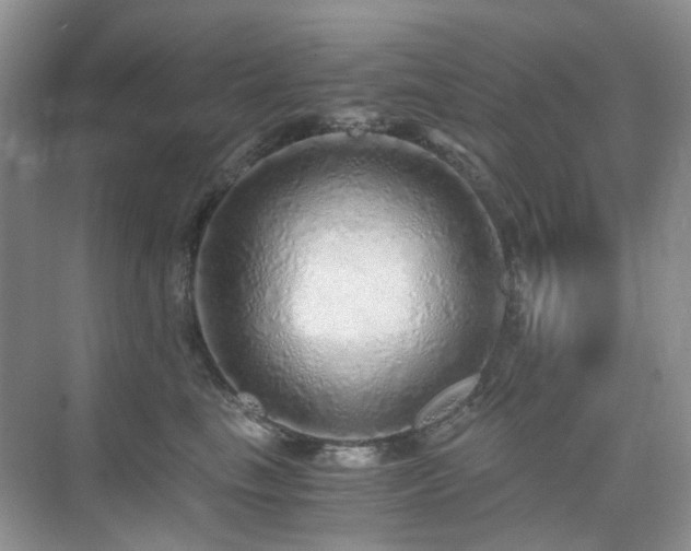 X0000076070665200609221158